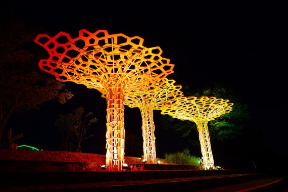 [장성=뉴시스] 장성 황룡강 야경. (사진=장성군 제공) photo@newsis.com *재판매 및 DB 금지