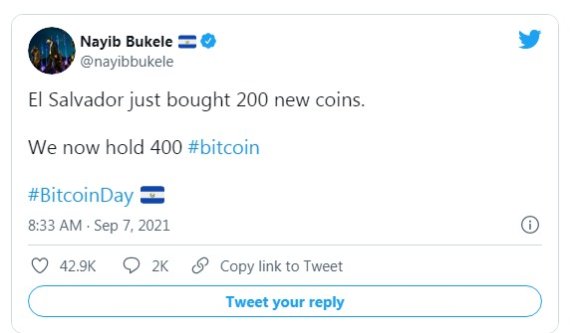 부켈레 대통령 트위터 갈무리