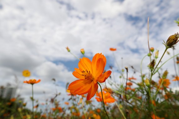 (출처=뉴시스/NEWSIS)