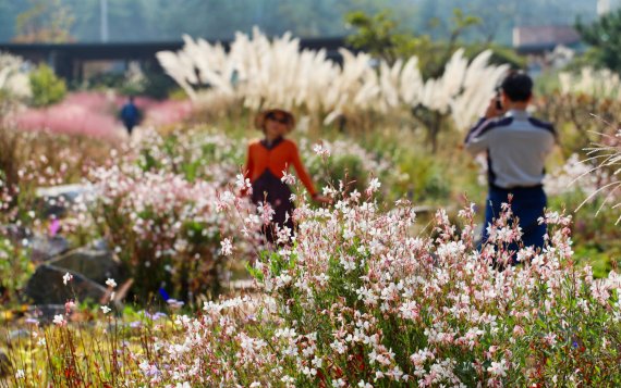 태안 천리포수목원.(사진=태안군청 제공) *재판매 및 DB 금지