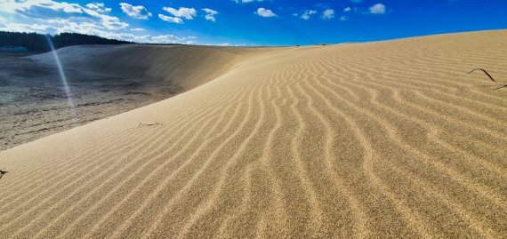 태안군 신두리 해안사구.(사진=태안군청 제공) *재판매 및 DB 금지
