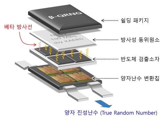 베타 양자난수발생기 완성품 구조. 원자력연구원 제공