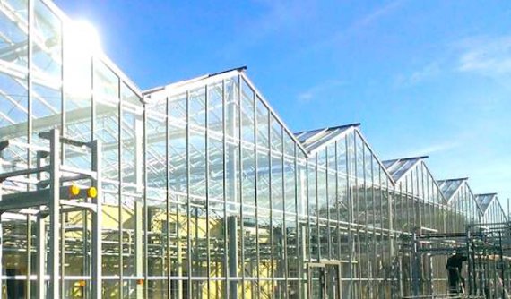 (출처=뉴시스/NEWSIS)