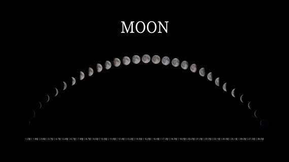 제29회 천체사진공모전 태양계 부문 은상을 수상한 박정원 씨의 'MOON : 29일 간의 기록'. 천문연구원 제공