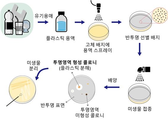 플라스틱 마이크로 스프레이 선별배지 제작과 미생물 분리 과정© 뉴스1