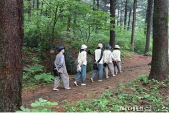 가평 잣향기푸른숲 맨발걷기. 사진제공=경기북부청