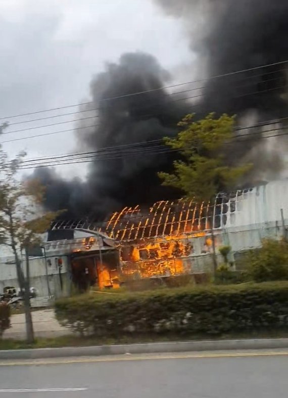 25일 오전 11시 19분께 대전 동구 세천동 비룡삼거리 부근 한 다육농장 비닐하우스에서 화재가 발생했다. (독자 제보)© 뉴스1