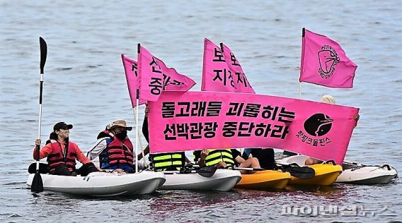 해양환경단체 ‘핫핑크돌핀스’가 돌고래를 괴롭히는 무분별한 선박관광을 중단하라며 해상시위를 벌이고 있다. [핫핑크돌핀스 제공]/fnDB