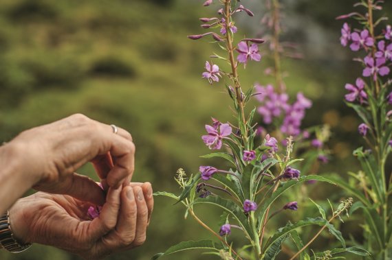린더넨(Lindernen) 오두막 주변 모습 / 스위스관광청 제공