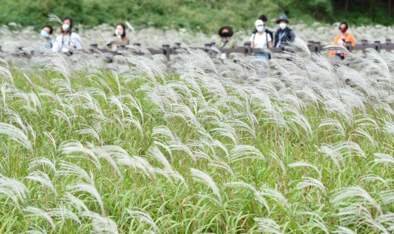 태풍 '민들레', 일본으로 향한다…서해안 오후 빗방울