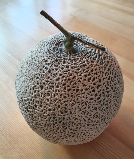 머스크 멜론. 조성관 작가 제공