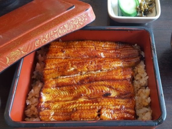 도쿄의 한 식당에서 나오는 우나동. 조성관 작가 제공