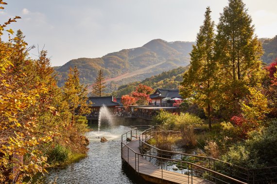화담숲, 단풍축제 10월15일…사전 온라인 예약 받는다