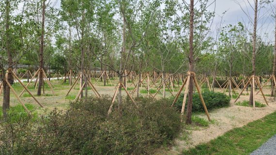 울산시 미세먼지 차단숲. 울산시 제공