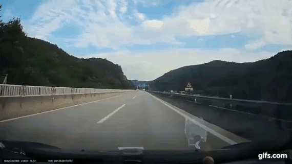 [영상] 멧돼지와 고속도로서 정면 충돌, ㅎㄷㄷ한 영상 공개