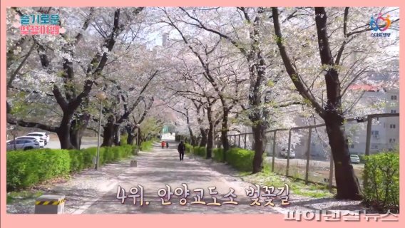 안양시 SNS콘텐츠 전국챔프 ‘등극’…랜선 소통↑