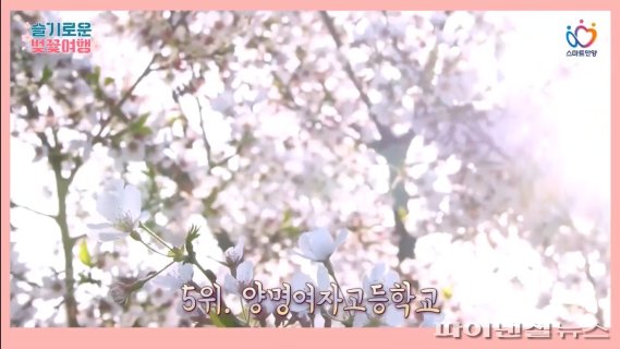 안양시 SNS콘텐츠 전국챔프 ‘등극’…랜선 소통↑
