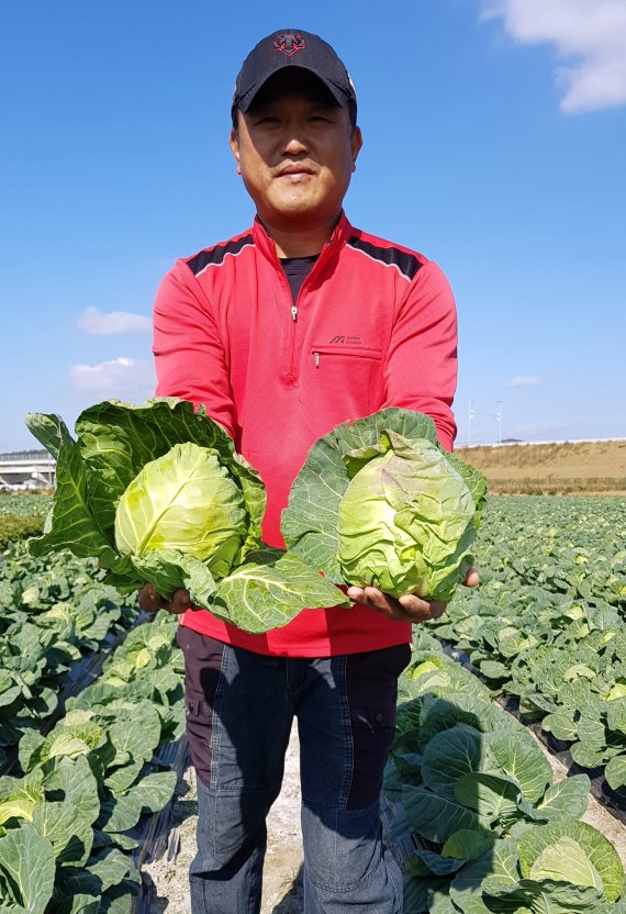 6일 전북 군산소형양배추연구회가 농진청이 주관하는 '2021년 최고품질 농산물 생산단지' 대상에 선정됐다. /사진=농진청