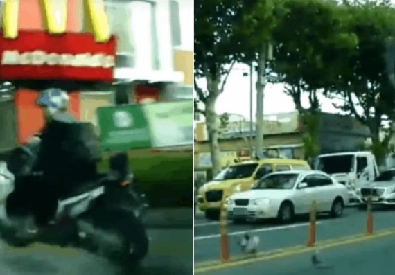 차량 운전자가 오토바이를 쫓아가 들이받는 모습. 온라인 커뮤니티 캡처