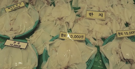 손질된 한치.© 뉴스1 DB
