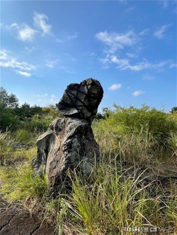[fn갤러리2] 화산섬 제주에서 만난 자연미술·대지미술