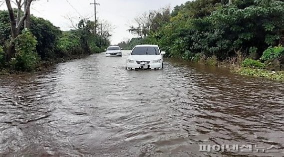 제주 동부지역 시간당 50㎜ 폭우…차량 5대 한때 고립