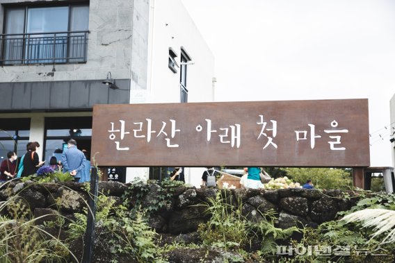 [fn레저] 사색하며 걷기에 딱 좋은 가을 '제주마을 한바퀴'