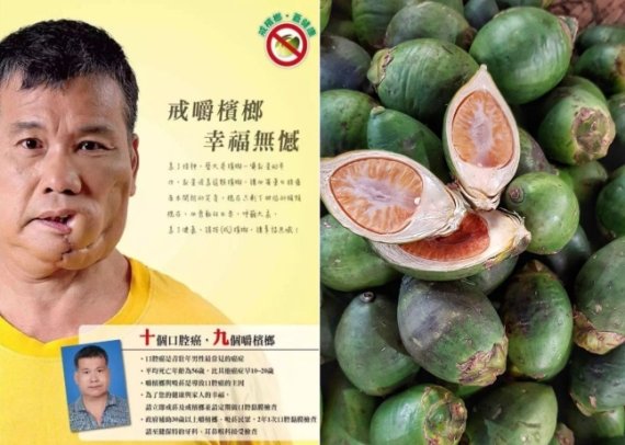 빈랑 열매 씹기를 금지한다는 중국 현지 포스터와 빈랑 나무 열매(왼쪽). /사진=바이두