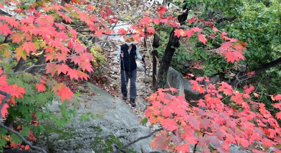 "등산로 안전장치가 없어요"...가을 '산행의 계절' 사고 주의보