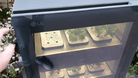 서울 성수동에 위치한 복합문화공간 '플라츠'에 마련된 'LG 틔운'(LG tiiun) 팝업스토어 '틔운 하우스'(tiiun haus: life with green)에 전시된 LG 틔운 제품. © News1 정상훈 기자