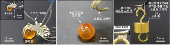 형상기억폴리머로 만들어진 로봇(소프트 그리퍼)은 강성을 조절(가변 강성)할 수 있어 터지기 쉬운 연어 알을 손상 없이 잡을 뿐만이 아니라 자신보다 1200배 무거운 추를 지속적으로 들 수 있다. 과학기술정보통신부 제공