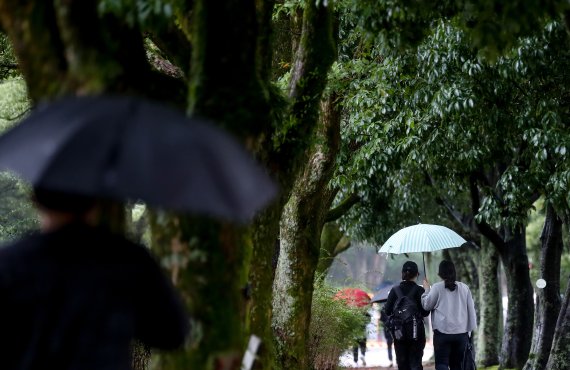 [제주=뉴시스] 우장호 기자 = 가을비가 촉촉히 내린 12일 오후 제주대학교 교정에서 우산을 쓴 학생들이 걸어가고 있다. 2021.10.12. woo1223@newsis.com