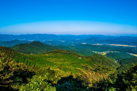 산림청,문수산 편백숲 '10월의 국유림 명품숲' 선정