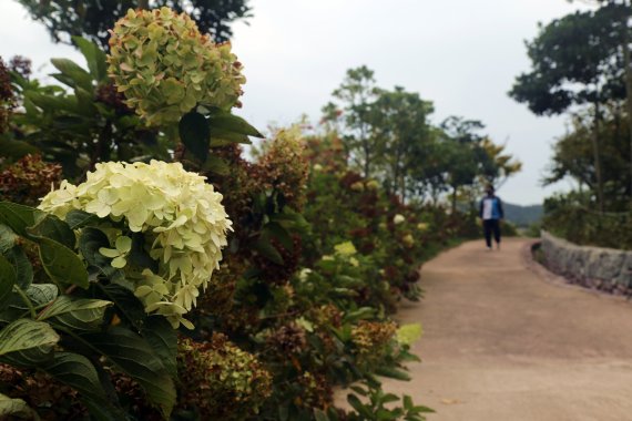 저 바다처럼, 넓고 깊은 마음으로 살아보자고요 [Weekend 레저]