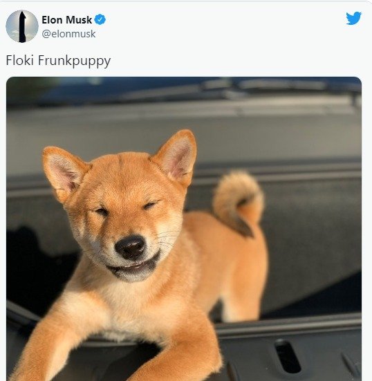 머스크 트위터 갈무리