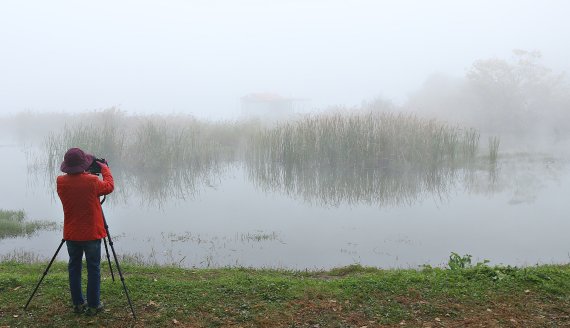 [괴산=뉴시스] 강신욱 기자 = 한 사진작가가 26일 짙은 안개가 드리운 충북 괴산군 문광면 양곡리 문광저수지 수면에 투영된 수초를 카메라에 담고 있다. 2021.10.26. ksw64@newsis.com