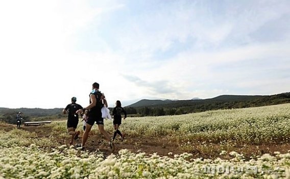 트레일 러닝 [서귀포시 제공]