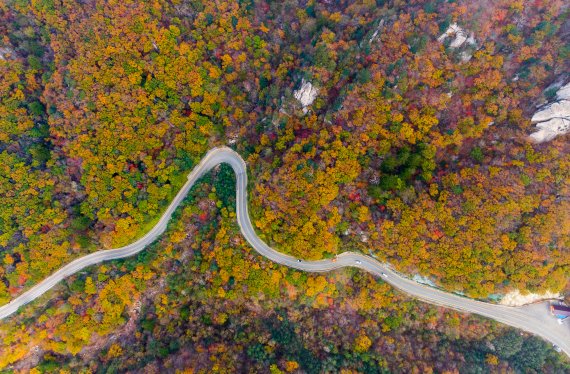 완연한 가을날씨가 이어지고 있는 14일 강원 양양에서 인제군에 걸친 설악산국립공원 한계령 일대에 단풍이 서서히 물들어가고 있다. 안은나 기자