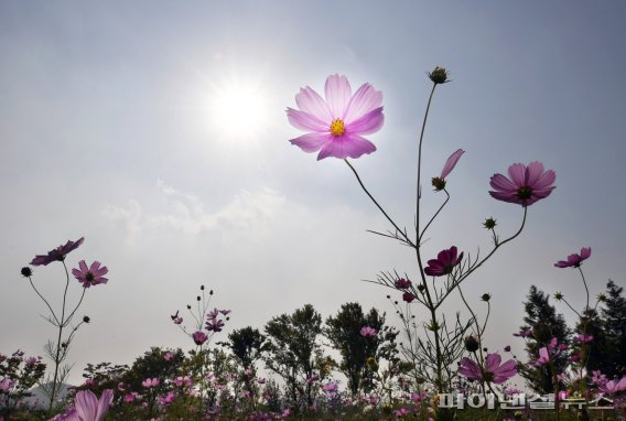 2021년 10월말 시흥 갯골생태공원. 사진제공=시흥시