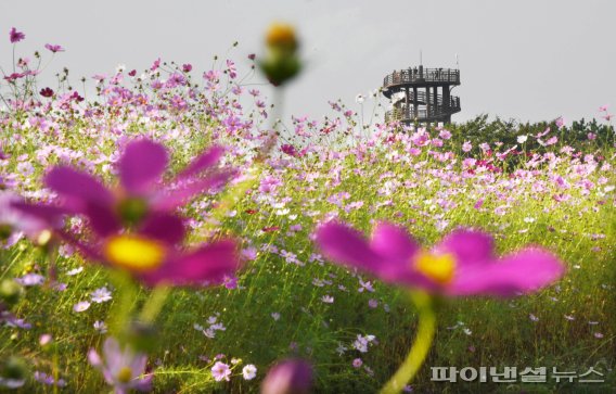 2021년 10월말 시흥 갯골생태공원. 사진제공=시흥시