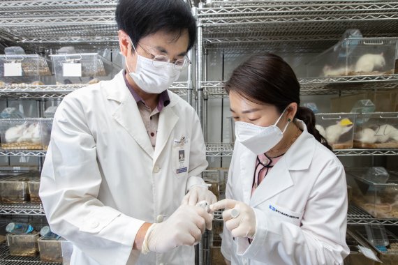 KBSI 정혜종 선임연구원(오른쪽)과 전북대 홍성출 교수가 증증 코로나19 증상을 나타낼 수 있는 햄스터 모델을 가지고 논의하고 있다. KBSI 제공