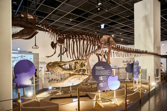 국립부산과학관 김진재홀에서 진행하는 '다이노소어' 특별기획전에는 다양한 공룡들의 화석이 전시돼 있다. 부산과학관 제공