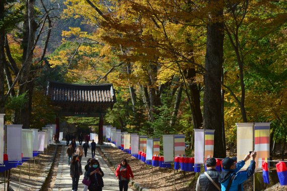 【합천=뉴시스】김기진= 관광객들이 28일 경남 합천 해인사에서 아름답게 물든 단풍을 만끽하고 있다. 2019.10.28. sky@newsis.com
