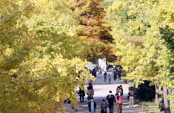 다음주 날씨, 일교차 크고 가을날씨 이어져.. 주말 제주 빗방울