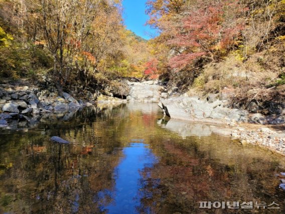 가평 연인산 명품길. 사진제공=경기북부청