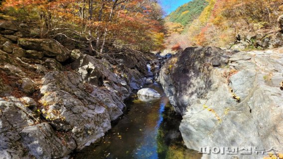 가평 연인산 명품길. 사진제공=경기북부청