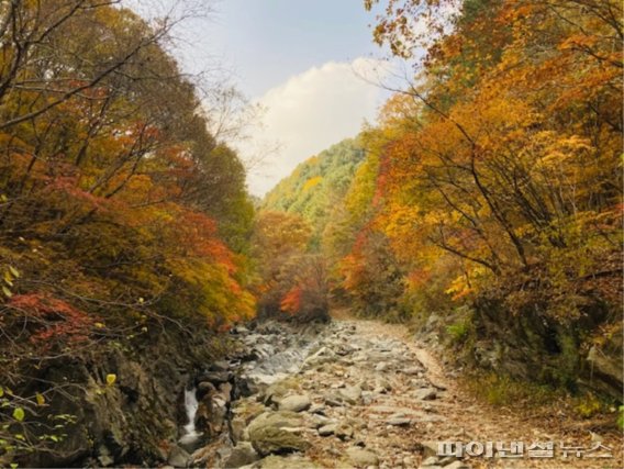 가평 연인산 명품길. 사진제공=경기북부청