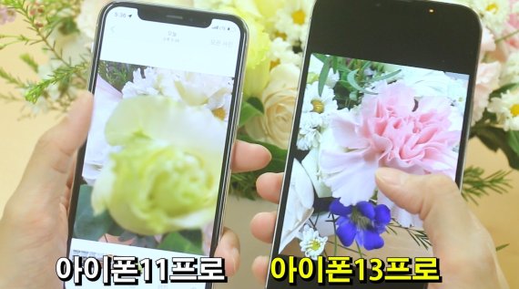애플이 아이폰13에서 카메라 성능에 초점을 맞췄다. 사진은 아이폰13과 아이폰11의 접사모드를 비교한 모습. © 뉴스1