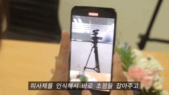 애플이 아이폰13에서 카메라 성능에 초점을 맞췄다. 사진은 아이폰13의 시네마틱 기능으로 촬영한 모습. © 뉴스1