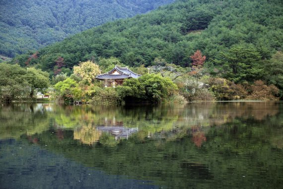 밀양 팔경의 하나인 위양못은 둘레가 1.5㎞ 남짓한 아담한 저수지이지만 빼어난 경관을 자랑한다. 특히 연못 한가운데 자리한 완재정은 동양적인 아름다움을 뿜어낸다. 사진=조용철 기자